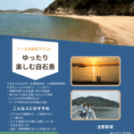 チラシ